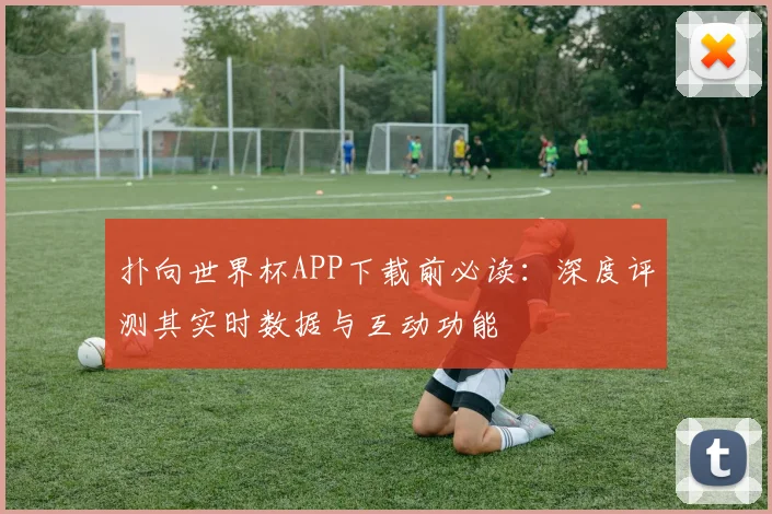 扑向世界杯APP下载前必读：深度评测其实时数据与互动功能