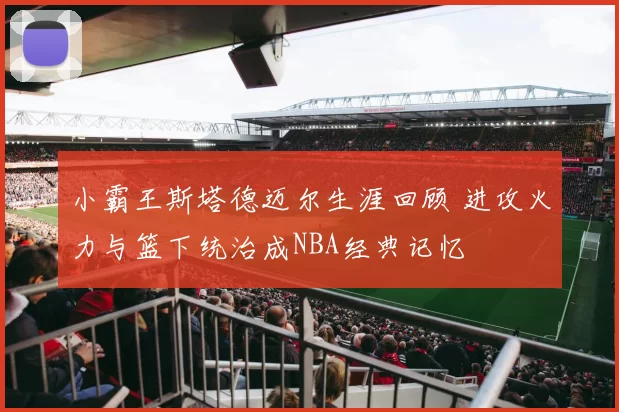 小霸王斯塔德迈尔生涯回顾 进攻火力与篮下统治成NBA经典记忆