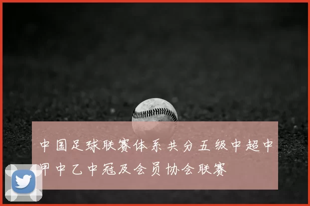中国足球联赛体系共分五级中超中甲中乙中冠及会员协会联赛
