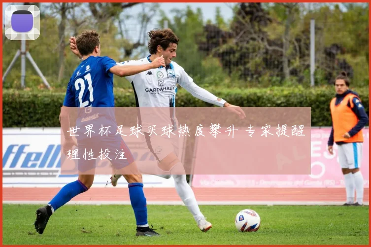 世界杯足球买球热度攀升 专家提醒理性投注