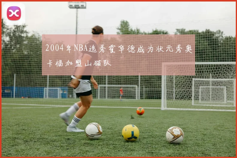 2004年NBA选秀霍华德成为状元秀奥卡福加盟山猫队